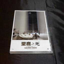 全新影片《西城故事》DVD 本片將莎士比亞原著的不朽悲劇「羅密歐與茱麗葉」改編為現代故事 歷史價格詳細信息