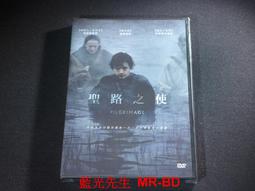 聖路神諭卡｜El Camino Oracle｜44張,自我發現的普世獻禮、啟蒙之旅【左西】 歷史價格詳細信息