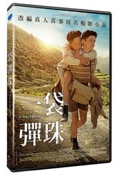 一袋彈珠DVD，A Bag of Marbles，派屈克布瑞爾＆艾莎齊柏斯汀，台灣正版全新 歷史價格詳細信息