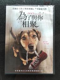 與你相依 1-5 臺版漫畫 全新未拆 角川 包郵 感興趣的話點“我想要”和我私聊吧～ 歷史價格詳細信息