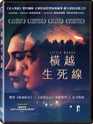 合友唱片 橫道世之介 全新正版 DVD 吉田修一 高良健吾 吉高由里子 面交 自取 歷史價格詳細信息