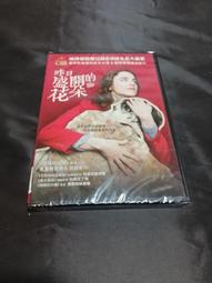 全新歐影《阿蒙與橡樹》DVD 比爾史卡斯加 瑞典奧斯卡13項提名肯定改編自《對橡樹說話的少年》 歷史價格詳細信息