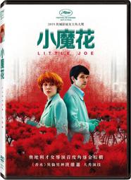 合友唱片  自取 小鎮醫生 Irreplaceable DVD 歷史價格詳細信息