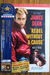 教出自主力：150個主題活動，蒙特梭利遊戲玩出孩子的獨立x自主x快樂[79折] TAAZE讀冊生活 歷史價格詳細信息