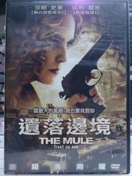 DVD 電影【落花洞新娘】2024年國語 /中字 歷史價格詳細信息