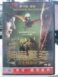 二手裸片 DVD 神鬼奇航-鬼盜船魔咒 The Pirates Of The Caribbean 雙碟版 &lt;Z119&gt; 歷史價格詳細信息