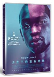 ◆LCH◆正版DVD《藍宇》-關錦鵬導演、劉燁、胡軍(買三項商品免運費) 歷史價格詳細信息