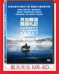 [藍光先生DVD] 貝爾法斯特 Belfast ( 得利正版 ) 歷史價格詳細信息