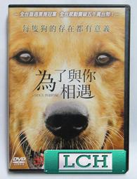 [DVD] - 為你存在的每一天 Because of You ( 得利正版 ) 歷史價格詳細信息