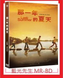 原創夏天奶藍色飄帶大腸發圈蝴蝶結發繩外出發帶日韓少女溫柔發飾 歷史價格詳細信息