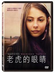 ◆LCH◆正版DVD《老爸，我被綁架了》-艾莉西亞席薇史東、班尼西歐岱托羅(買三項商品免運費) 歷史價格詳細信息