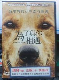 DVD 電影【為了孩子的孩子/孩子們的孩子/A Home from Home】2022年韓語 /中字 歷史價格詳細信息