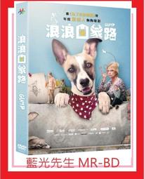 贈品DVD-親愛的我把孩子放大了+親愛的我把孩子縮小了/異形奇花.小兵立大功.親愛的我把我們縮小.魔鬼剋星-里克莫拉尼斯 歷史價格詳細信息