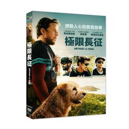 柏格曼的謬思情緣DVD，Liv &amp; Ingmar，透過鏡頭的美麗，追溯影壇著名羅曼史 歷史價格詳細信息