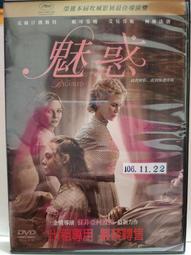 原版二手出租DVD 天菜大廚 天7 歷史價格詳細信息
