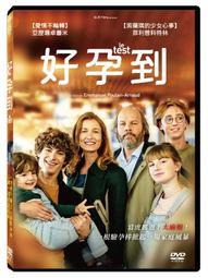 好孕 72小時長效驅蚊 防蚊貼片(24片裝)【兩入組】 歷史價格詳細信息