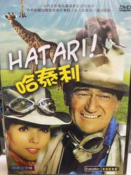 知飾家 (D6) 全新未拆   歐美影集  死之吻 KILLER'S KISS DVD 歷史價格詳細信息