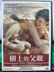 樹上的魚《Lokot 鳥巢蕨》(英文) 行政院農業委員會林務局 五南文化廣場 政府出版品 繪本 童書 歷史價格詳細信息