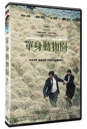 ◆LCH◆正版DVD《園長夫人 動物園的奇蹟》-潔西卡雀絲坦(買三項商品免運費) 歷史價格詳細信息