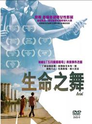 Aries實拍華夫格英文字母落肩開衩大T 3色基本款 短袖 圓領 寬鬆 舒適 百搭 上衣 TEE T恤 歷史價格詳細信息