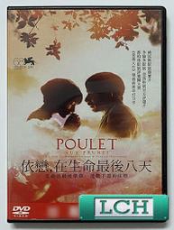 ◆LCH◆正版DVD《戀戀情深》-強尼戴普、李奧納多狄卡皮歐-全新品(買三項商品免運費) 歷史價格詳細信息
