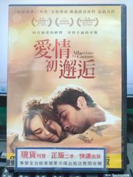 DVD 電影【初戀】2021年日語 /中字 歷史價格詳細信息