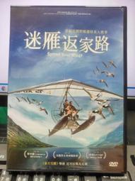 DVD 電影【迷你寶貝/Ant-Babe: The Tiny Bravenger】2018年英語 /中字 歷史價格詳細信息