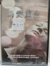 原版二手出租DVD 愛上壞女孩 天地 歷史價格詳細信息