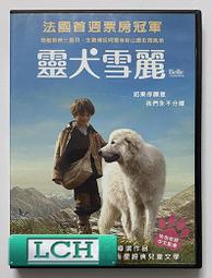 ◆LCH◆正版DVD《靈病 / It Follows》-爛番茄影評網100% 全正面好評推薦(買三項商品免運費) 歷史價格詳細信息