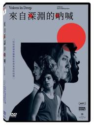 全新歐美影片《來自巴黎的情書》DVD 格雷戈里蒙泰爾、安娜伊德慕絲提 歷史價格詳細信息