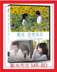 [藍光先生DVD] 現代烏托邦─印度昌迪加爾 The Power of Utopia ( 天空正版 ) 歷史價格詳細信息