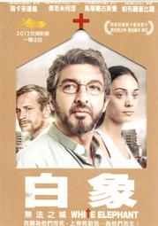 馬蒂斯 倫敦的那不勒斯人 拉費里爾 小提琴 Il Genio Inglese HMN916117 歷史價格詳細信息