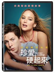 合友唱片 愛 穹蒼 全新正版 DVD 班艾佛列克 嘉柯瑞蘭寇愛 面交 自取 歷史價格詳細信息