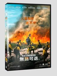 布許原創明制漢服錦衣衛飛魚服配飾鋼盔帽男女鬥笠盔帽飛碟盔帽子 歷史價格詳細信息