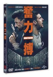DVD 力霸王 戰鬥舞台 EXPO 2019 朝陽升起的時空 歷史價格詳細信息