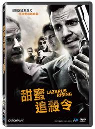 [DVD] - 追殺厄夜叢林 Blair Witch ( 威望公司貨 ) 歷史價格詳細信息