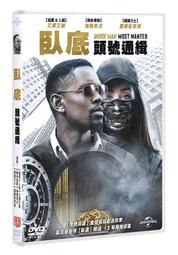 Most Wanted 大空魔龍 中膠 歷史價格詳細信息