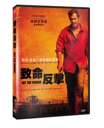 合友唱片 面交 自取 反恐突襲 DVD Flint Redemption DVD 歷史價格詳細信息