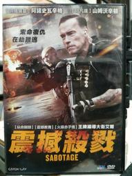 DVD 電影【阿辛正傳/ 阿甘正傳/打死不離喇星夢/拉辛正傳】2022年印地語/中字 歷史價格詳細信息