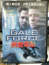 掣影鴻星爾克運動鞋男鞋秋季科技跑鞋透氣網靣鞋男減震運動跑步鞋 歷史價格詳細信息