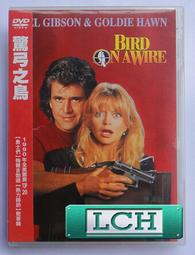 ◆LCH◆正版DVD《吉貓出租》-海鷗食堂導演 荻上直子(買三項商品免運費) 歷史價格詳細信息