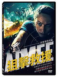 合友唱片 實體店面 救援生死線 西恩潘 泰謝里丹 Black Flies DVD 歷史價格詳細信息