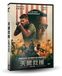 全新歐美影片《迴路殺手》DVD 喬瑟夫高登李維 布魯斯威利 艾蜜莉布朗 保羅丹諾 歷史價格詳細信息