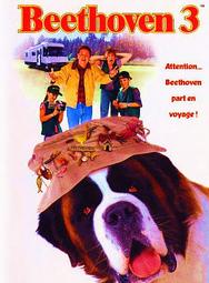 我家寶貝 3件組 110-160cm 兒童半高領德絨上衣 高彈素色長袖打底衣 男女童純色加厚長T恤 歷史價格詳細信息