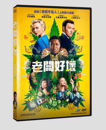 全新影片《狂沙十萬里》DVD 塞吉歐李昂尼 亨利方達 查理士布朗遜 克勞蒂亞卡汀娜 傑森羅拔茲 歷史價格詳細信息