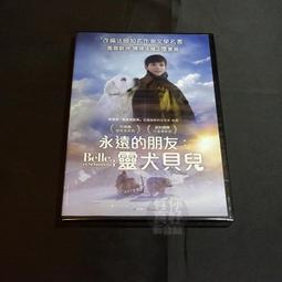 全新影片《惡靈纏身》DVD 亞歷山大巴貝夫 瑪格莉特茱蒂森 戴文古索 麥可強斯頓 馬克弗茲 歷史價格詳細信息