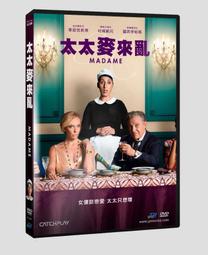 亂太郎*****台灣交趾陶 林智信 交趾陶 如意戲球獅 歷史價格詳細信息