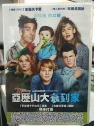 【寶嘉爾Bogar】潔耳液-犬用(125ml) 效期:2022/12/31｜展飛寵物館 歷史價格詳細信息