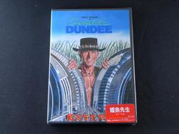 鱷魚先生大尺寸抱枕 男友枕 娃娃 靠枕 抱枕 鱷魚抱枕 免運費 廠商直送 現貨 歷史價格詳細信息