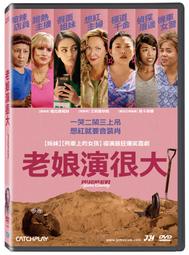 20 Count Box BCW 2 Piece Card Small Stands Coin and Currency Adjustable Display 歷史價格詳細信息